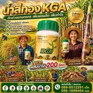 น้ำสีทอง KGA สูตรใหม่ เจ้าของเดียวกับผงดำKGA