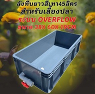 ลังพลาสติกแบบยาวทึบสีเทา วาวล์ขาว ระบบover flow สำหรับเลี้ยงปลา อ่างเลี้ยงปลา กะบะเลี้ยงปลา อ่างปลาบ