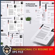 Professional CV Resume Set Template