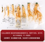 1pc Changbai Mountain Ginseng Large Freshly Preserved Ginseng 9 Year Old Root