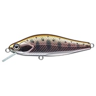 Evergreen EVERGREEN NELMETZO 50FS Series - Various Colors