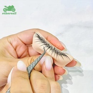 ETH 1pcs Eyelash Practice Silicone Model With Realistic Eyelash Extensions, Reusable Training Eyelid