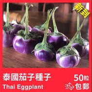 新到🇹🇭泰國茄子種子 50粒+ 包平郵