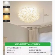 LED吸頂燈【花絮】【白色-53cm-三色變光-24W】