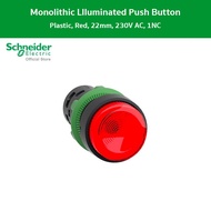 Schneider XB7NW34M2 สวิตช์ปุ่มกดแบบมีแลมป์ สีแดง ขนาด 22 มม แบบต่อตรง 220 V AC 1 NC ชไนเดอร์