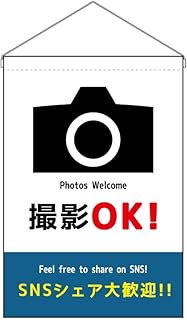Noboriya Koubou 53150 Hanging Flag, Photo OK, W13.0 x H18.9 inches (330 x 480 mm), 1 Sheet, 3 Rolls,