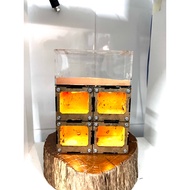 [DT07] Standing Light Tank for Ant Farming/ Ant Raising Tank/ Ant Raising Box/ Standing Tank/ Light 