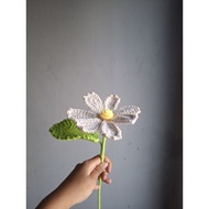 Kosos Flower Knitted Cosmos Flower
