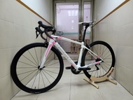 全新意大利🇮🇹WILIER GTR TEAM 碳纖維車架CARBON ROAD FRAMESET