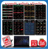 โปสเตอร์ หุ้น หลากหลายรูปแบบ กราฟแท่งเทียน ชาร์ตแพทเทิร์น Candlestick Chart Pattern (A3)