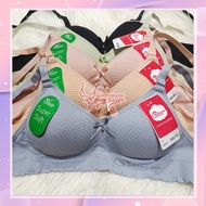 Polini Bra in 0609/0311 I Knitted Bra with Foam and No Wire Size 34-40