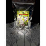 SUSU KAMBING SACHA INCHI + NATURAL STEVIA AL RUQYAH