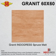 Granit INDOGRESS Spruce Matt (60x60)