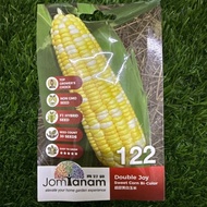 Benih / Benih Jagung - 122 / Double Joy Sweet Corn Bi-color