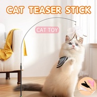 Cat Teaser Pet Toy Cat Play Toy Cat Feather Toy Cat Teaser Mouse Feather Stick Detachable Long Pole 