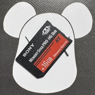 Sony DV Camcorder Compatible Memory Card