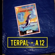 A12 4X5 Thick Plastic Tarpaulin