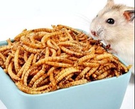 全新 倉鼠 零食 麵包蟲乾 Hamster Food 20g