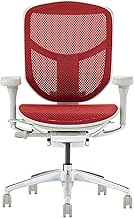 Ergohuman2 429803 ENJOY Low Type Nylon Caster Red Mesh/Gray Frame EJ2-LAM-GF-RD