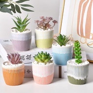 Dehua Ceramic Succulent Flowerpot Creative Thumb Succulent Pot Colorful Glaze Potted Plant Small Flowerpot Combination Set
