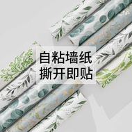 Wallpaper Self-Adhesive Moisture-Proof V Wallpaper Household Adhesive Wallpaper ins Style Self @-