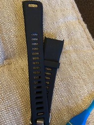 Garmin Vivoactive HR