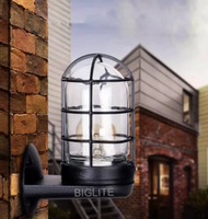 Biglite Outdoor Wall Lamp 622 BLK/CLR Modern/ Contemporary LED Lighting