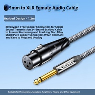 RIKSOIN | Mic Connector Audio Cable 6.5mm to XLR