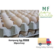 Egg - Kampung Egg Grade B - Telur Ayam Kampung 30pcs