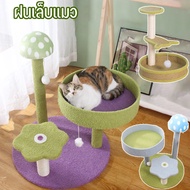 【Home_Master】ฝนเล็บแมว รุ่นเห็ด คอนโดแมว ที่ลับเล็บแมว ที่ฝนเล็บแมว ลับเล็บแมว คอนโดแมวเล็ก ของเล่นแม