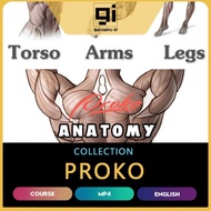 Proko - Anatomy Full Course