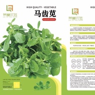 Edible Amaranth Seeds Seeds Amaranth Seeds Potted Plants Amaranth Vegetables Amaranth Seeds Autumn V