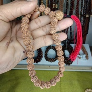 tasbih jenitri 33 butir 10mm tasbih jenitri rudraksha