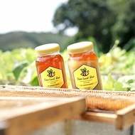 Save Local Bees 冬蜜 500g——鴨腳木蜜