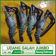 PROMO Udang Galah Jumbo Segar 1 kg isi 3-4 ekor size Besar
