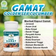 GAMAT KAPSUL, Golden Sea Cucumber, Teripang Emas HNI HPAI Original