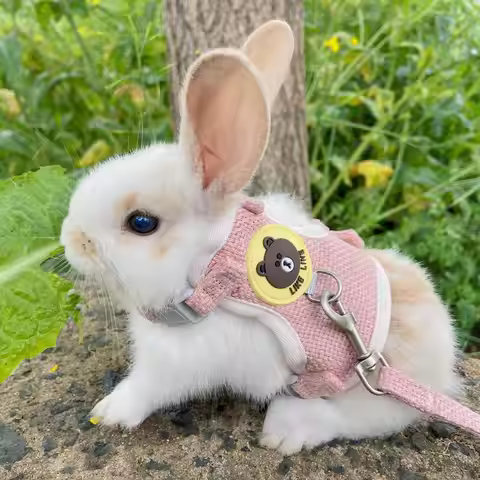 Cute Rabbit Harness Leash Set Bunny Soft Padded Dog Vest Small Puppy Carrier Teddy Bear Cat Collar L