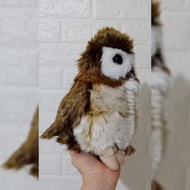 Dijual Boneka Hewan Burung Hantu Harry Potter (Harry Potter Owl Doll)