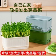 Seedling Tray Bean Sprout Planting Germination Pot Yellow Mung Bean Sprout Soilless Cultivation Hydr
