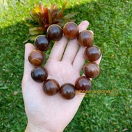 KAYU Dragon BLOOD BRACELET || Agatis Wood Bracelet/ Raja Bracelet 18MM-22MM