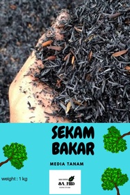 sekam bakar / sekam bakar murah / sekam bakar 1kg / sekam bakar media tanam