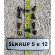 5X12 MOTORCYCLE SCREWS
