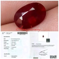 NATURAL RED RUBY - Ada Berlian Diamond Star Birma Blue Safir Srilanka