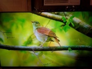 自己出讓49吋智能電視高速上網畫質靚smart TV 4K Sony