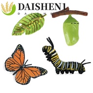 DAISHEN1 Growth Cycle Model Kids Toy Educational Butterfly Growth Cycle Plastic Models Chicken Spide