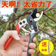 省力剪枝剪刀果树枝剪修枝剪刀粗枝剪树剪子果园花卉专业园艺剪刀Labor-saving pruning scissors fruit tree branch shears pruning scissor