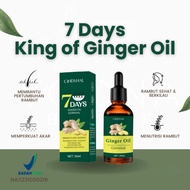 [100% Original & BPOM] 7 Days King of Ginger Oil, Serum Penumbuh Rambut untuk Rambut Rontok, Kebotak