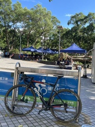 BMC Teammachine SLR01碳纖維公路車（急放）