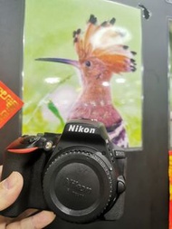 Nikon D5600 BODY 新淨，大屏幕，可另配鏡頭