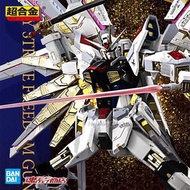 港魂 BANDAI 超合金 CHOGOKIN MIGHTY STRIKE FREEDOM GUNDAM 高達 GUNDAM SEED FREEDOM